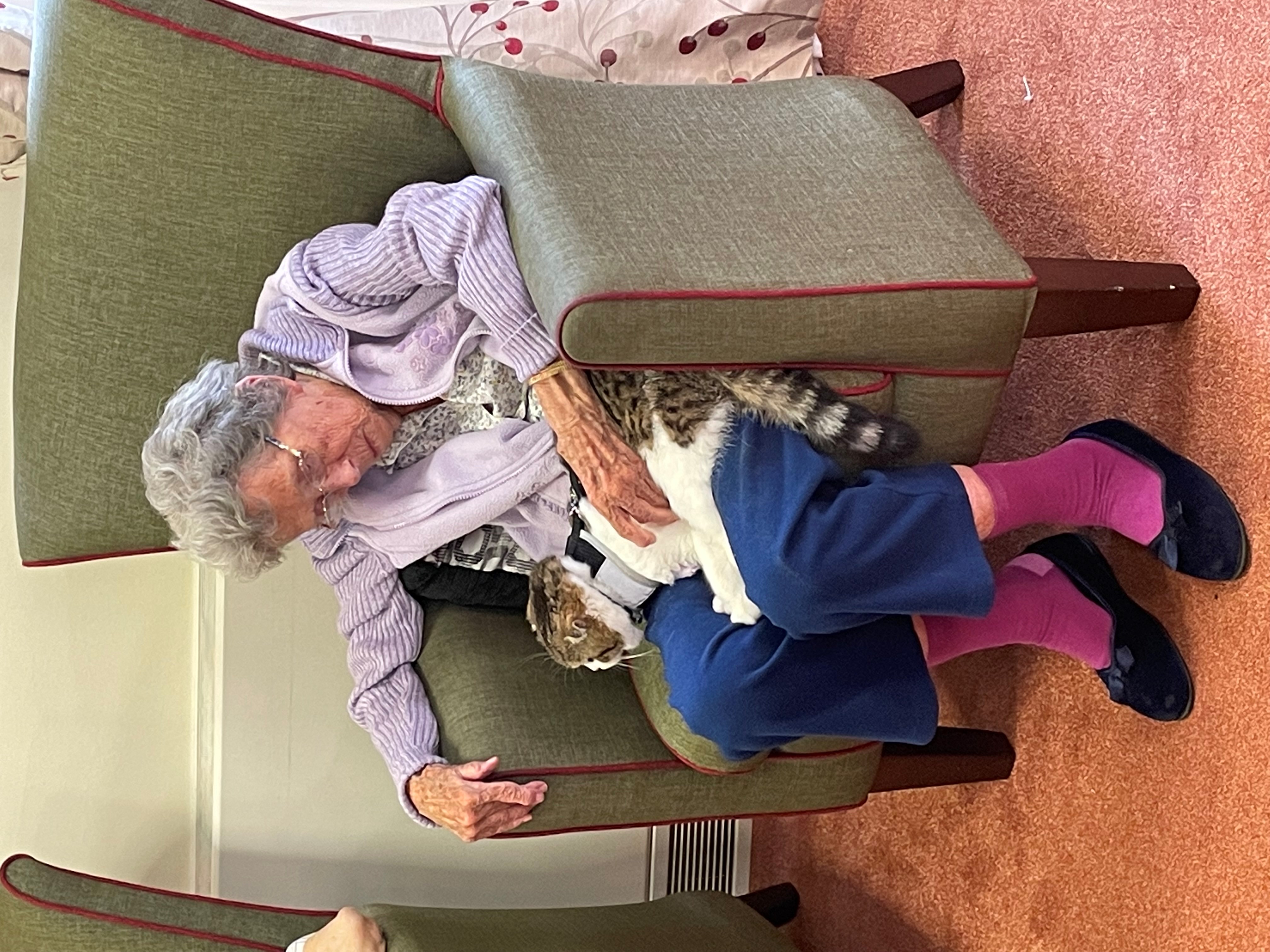 Penarth care home gets a new pet thanks to ITV show